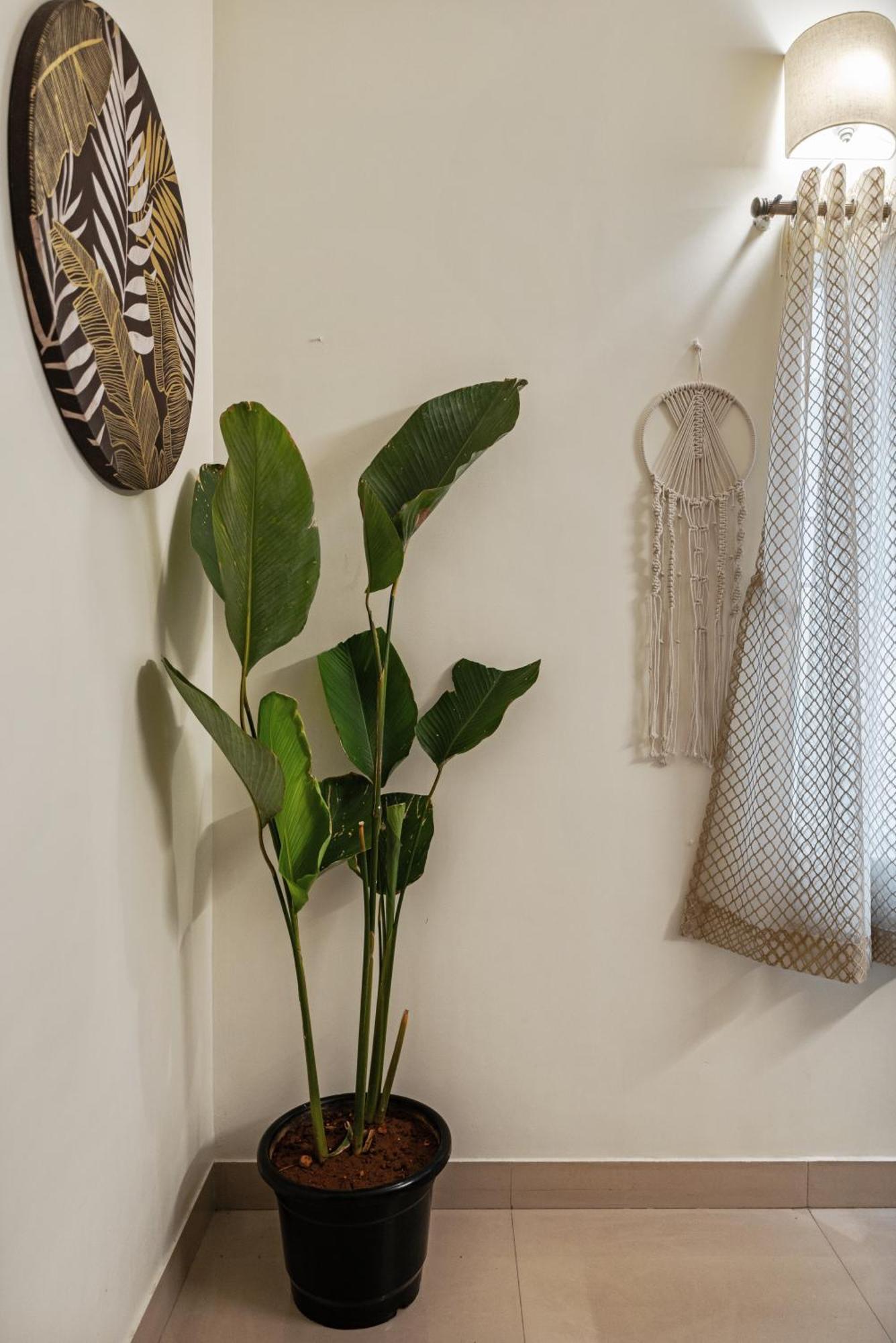 Villa House Of 2 Tress Penthouse Bangalore Esterno foto